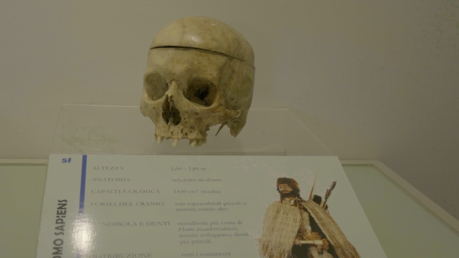 Tracce dell’Homo Sapiens